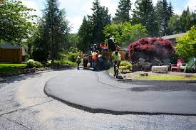 Best Driveway Snow Removal Preparation  in , NV